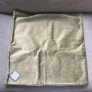 Williams Sonoma 22”x22” Sage Velvet Pillow Case